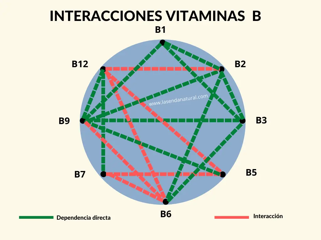 vitaminas relación