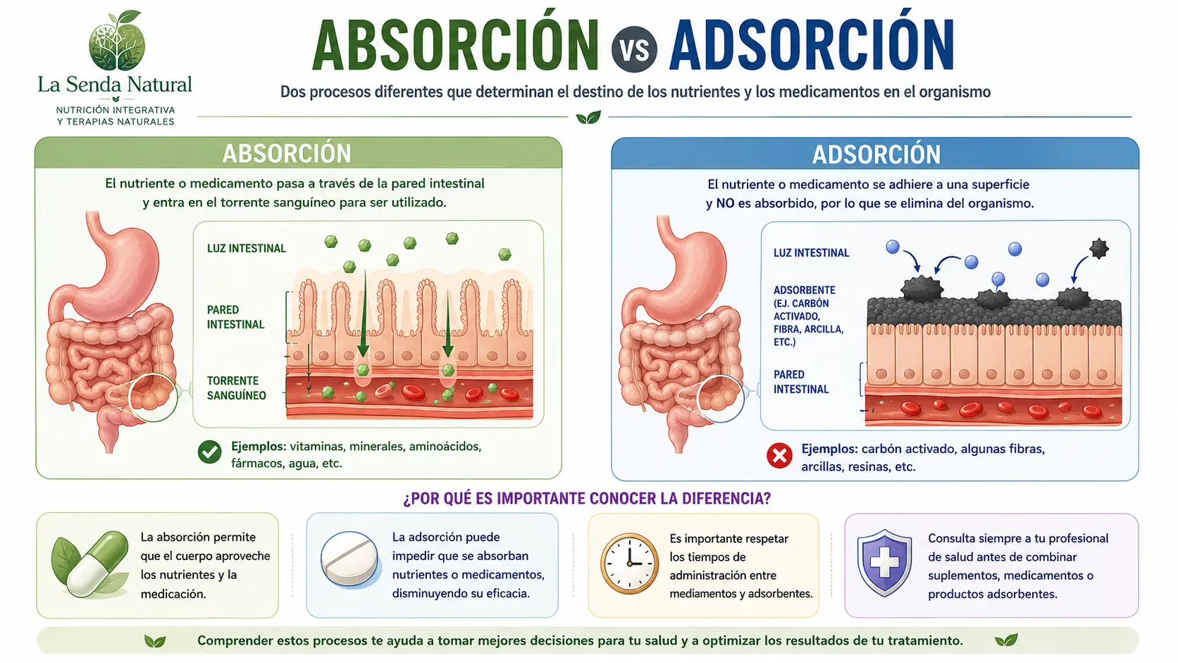 Absorción vs Adsorcion