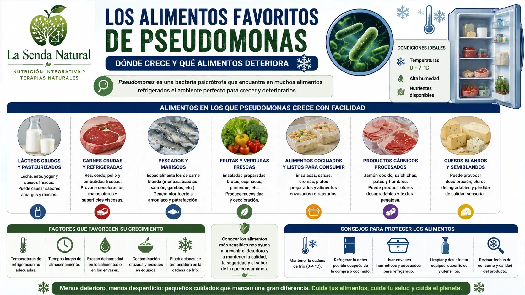 Pseudomonas 5 Alimentos favoritos de las pseudomonas