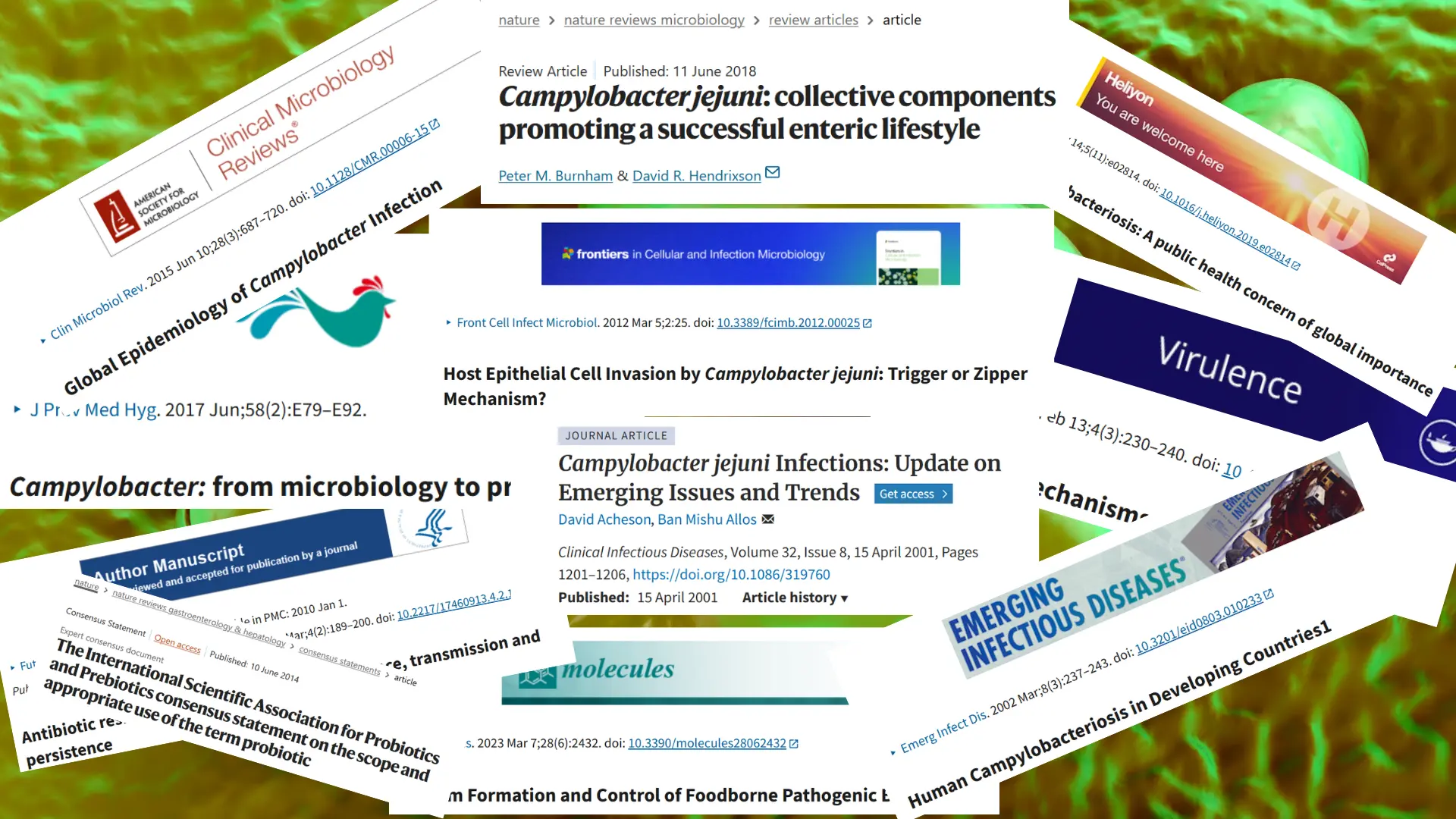 Campylobacter 7 Artículos campylobacter