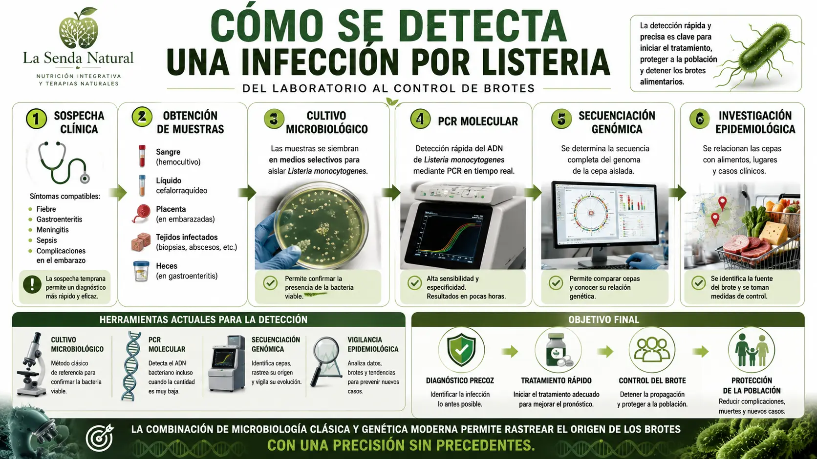 Como se detecta la listeria