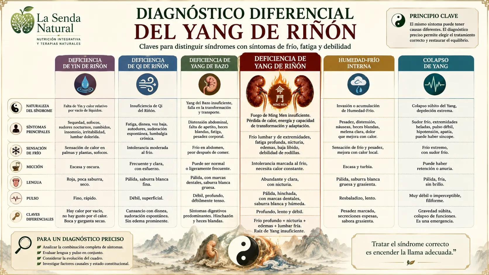 Diagnóstico diferencial de Yang de Riñón