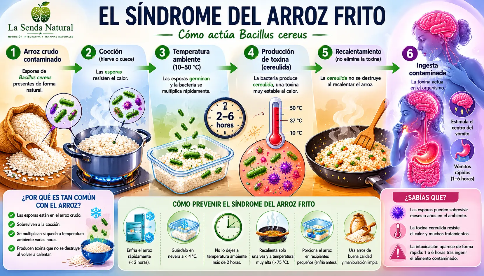 EL SINDROME DEL ARROZ FRITO