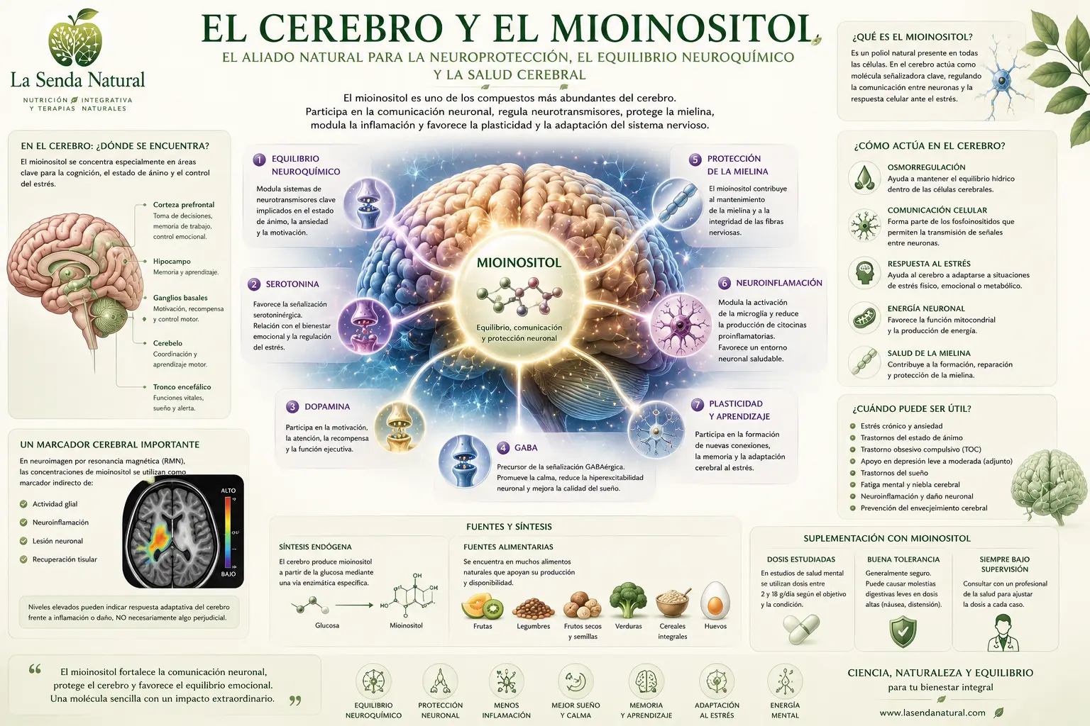 El cerebro y el mioinositol