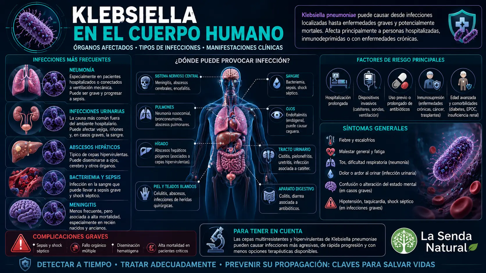 Klebsiella en el cuerpo humano