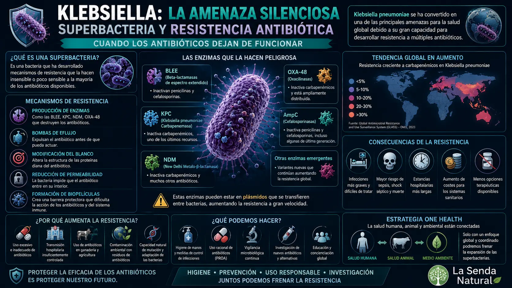 Klebsiella pneumoniae la amenaza silenciosa