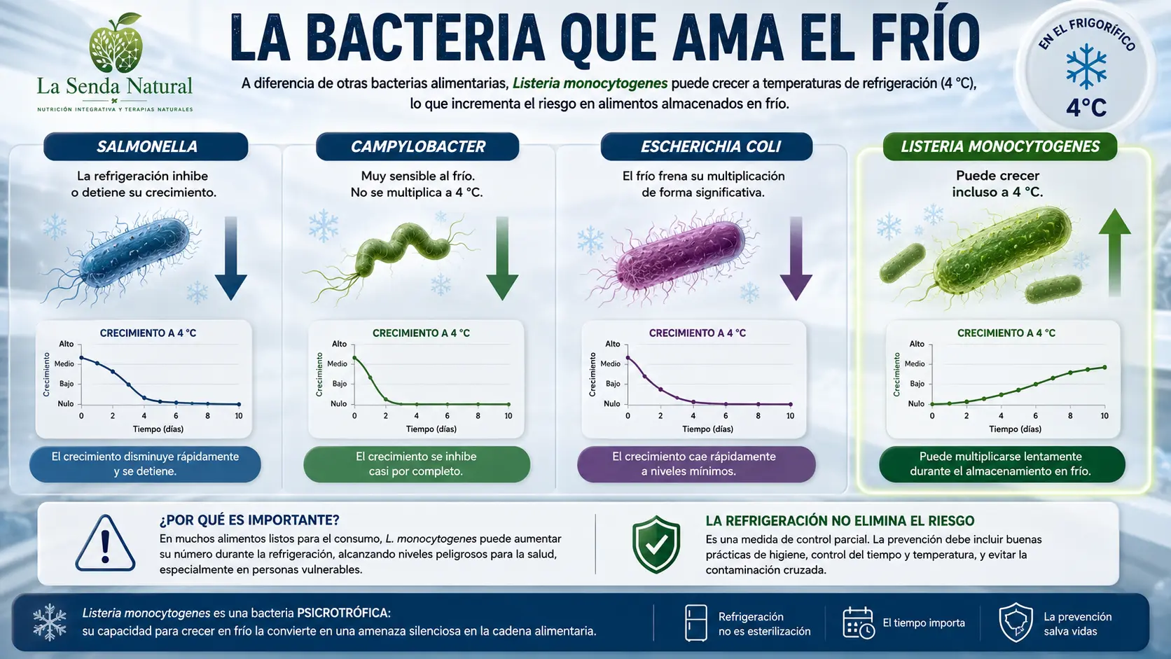 LA BACTERIA QUE AMA EL FRÍO