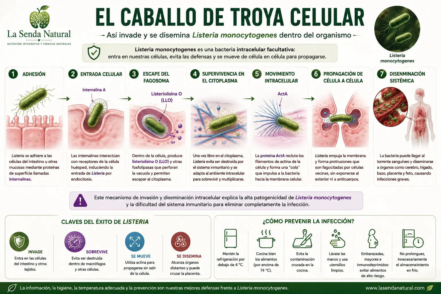 LISTERIA EL CABALLO DE TROYA