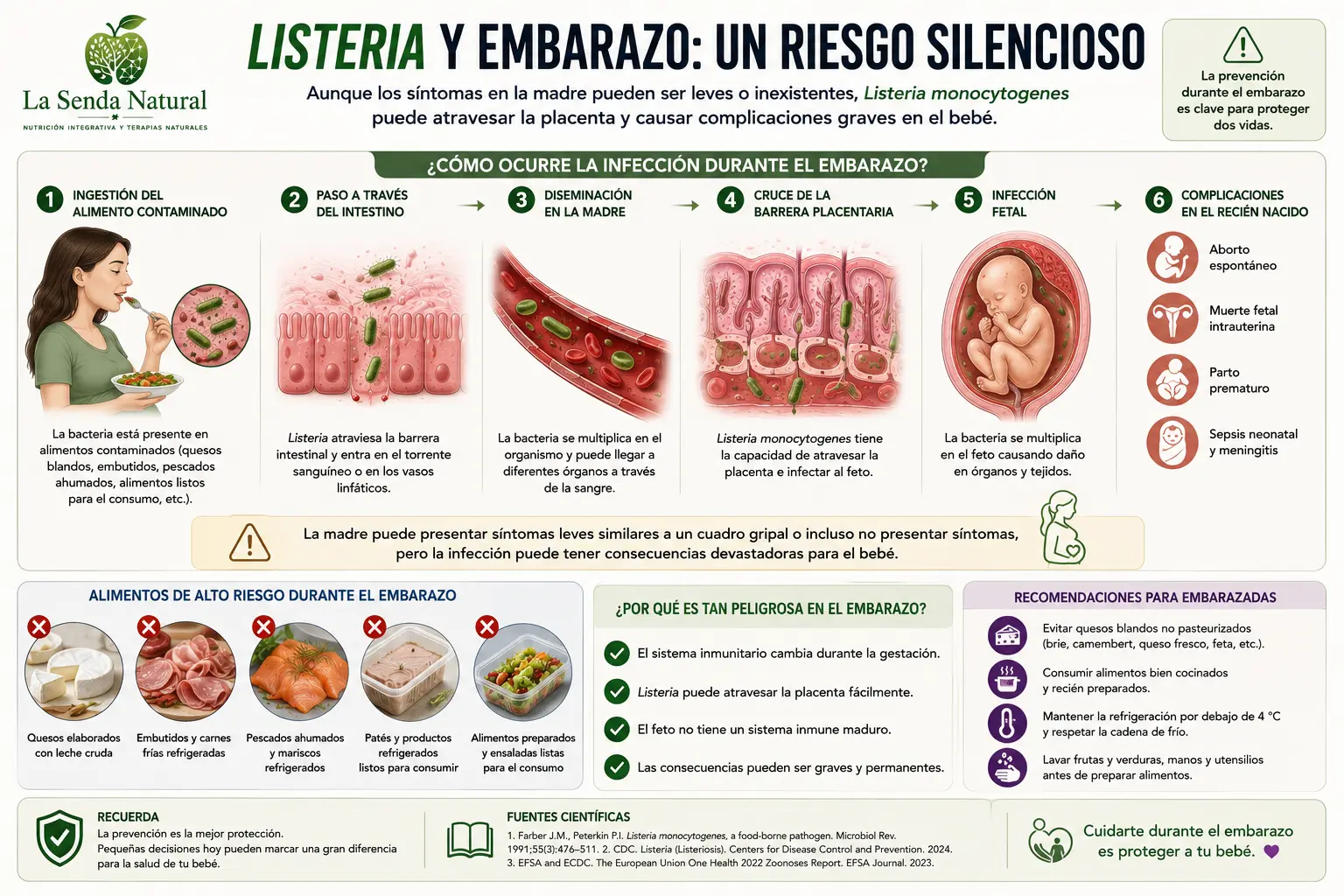 LISTERIA Y EMBARAZO