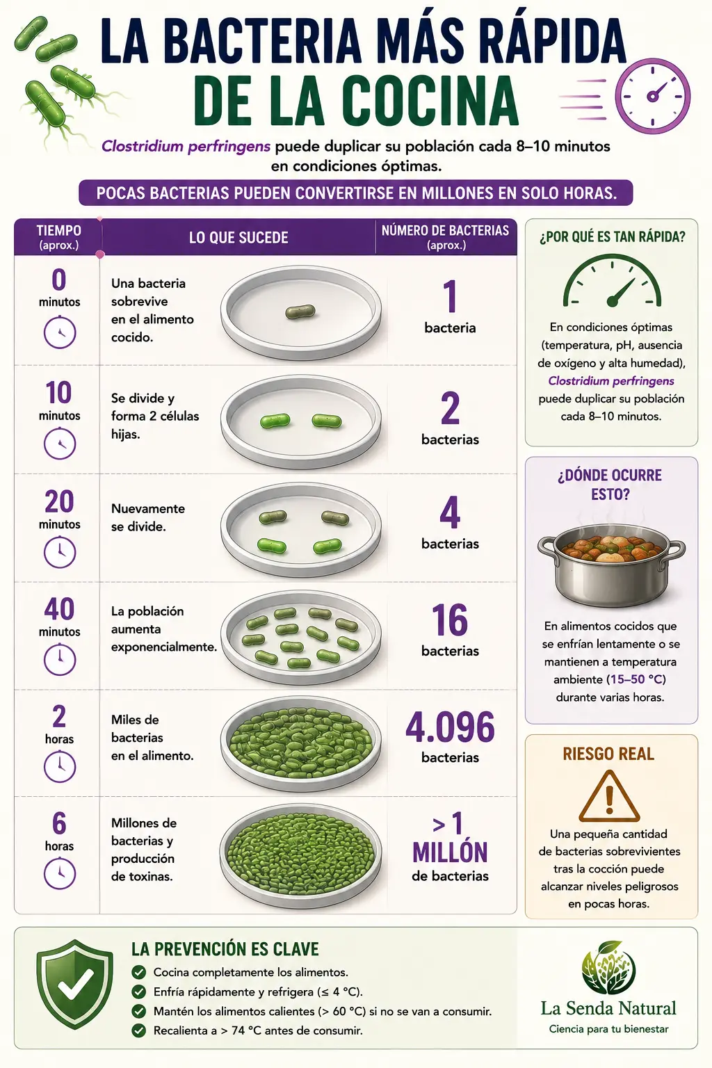 La bacteria más rápida de la cocina
