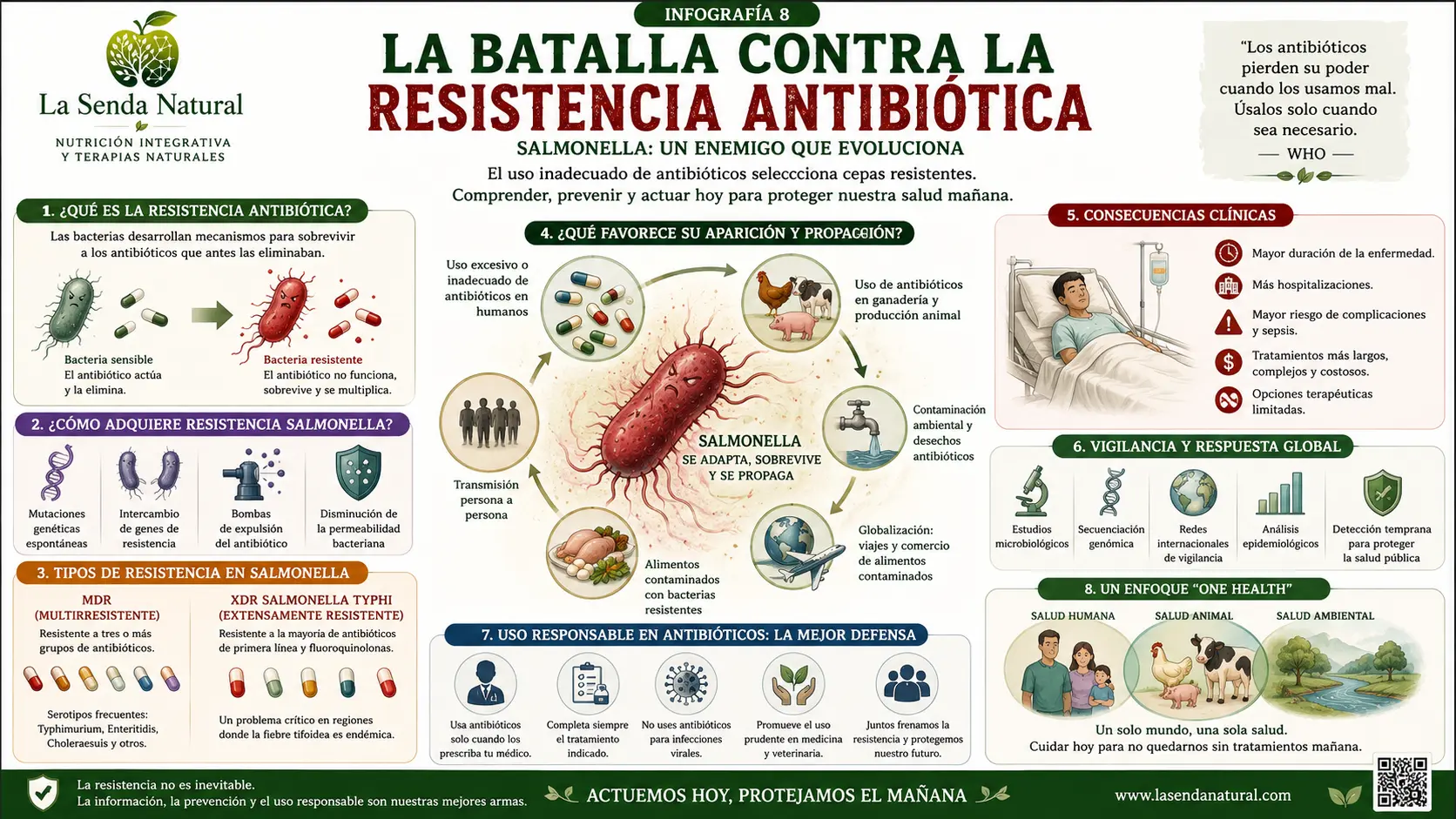 Salmonella 9 La batalla contra la resistencia antibiótica (2)