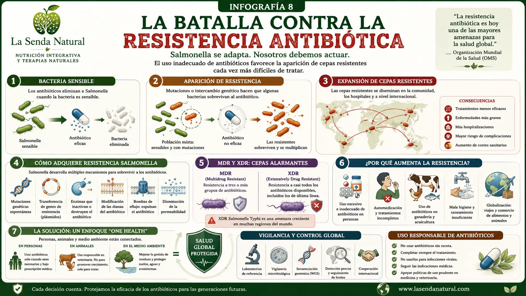 Salmonella 10 La batalla contra la resistencia antibiótica
