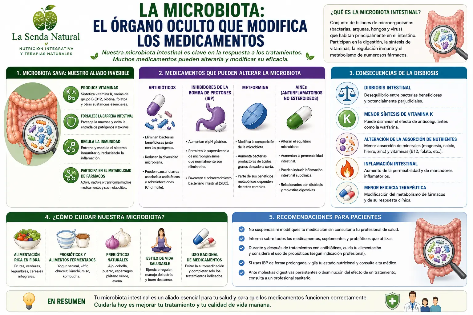 La microbiota el órgano que modifica los medicamentos.