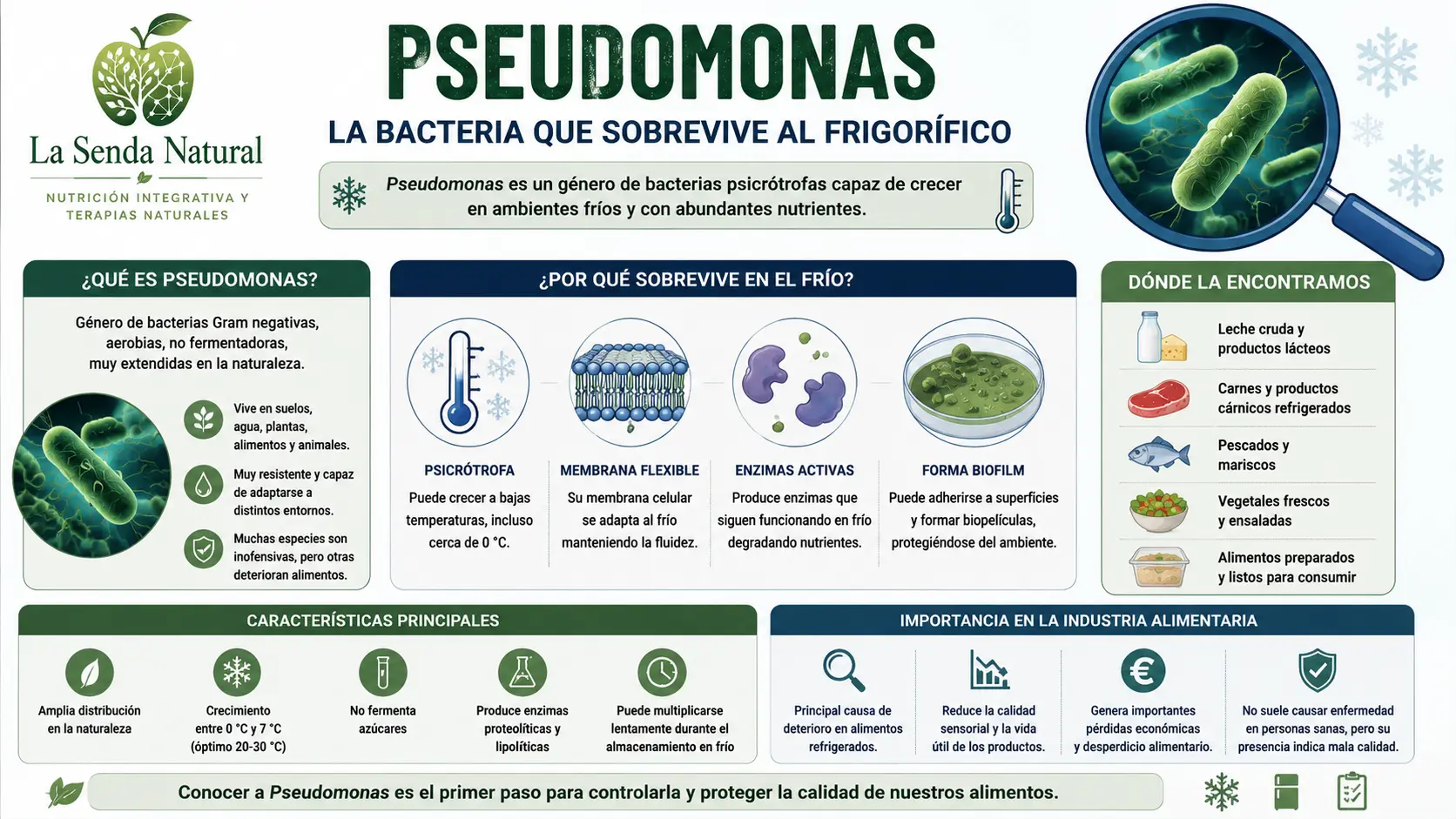 Pseudomonas 57 Pseudomonas