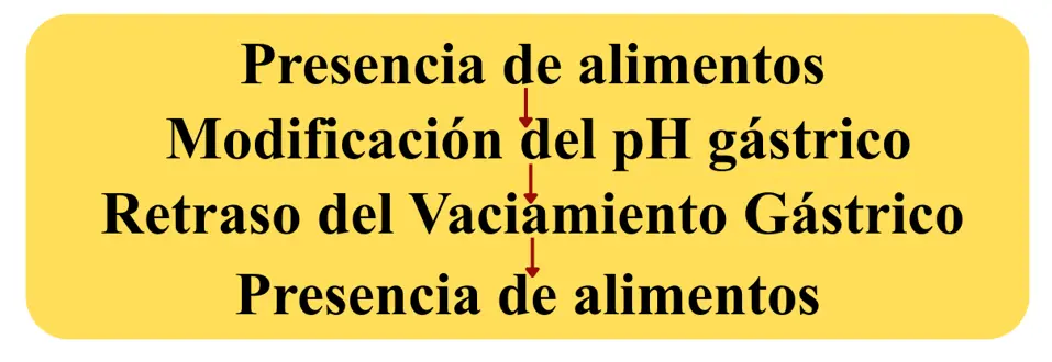 Vaciamiento gástrico