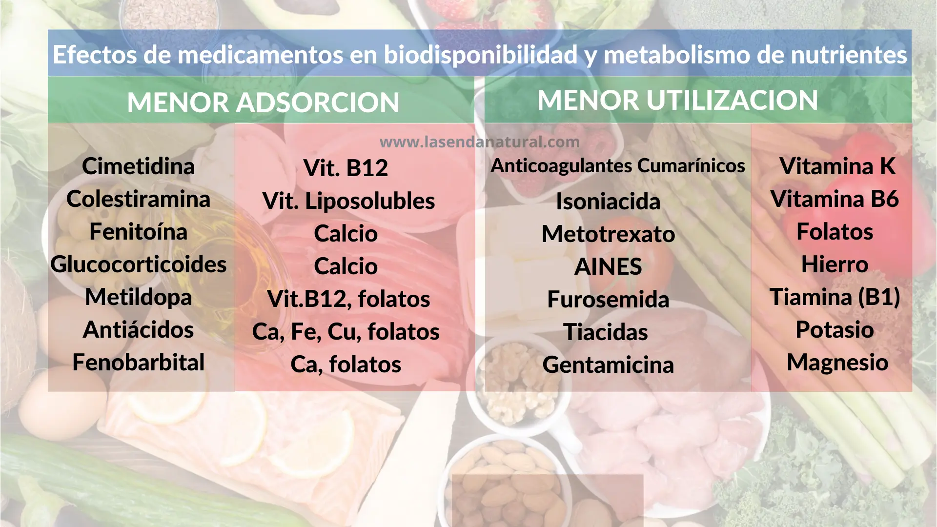 farmacos-alimentos y biodisponibilidad