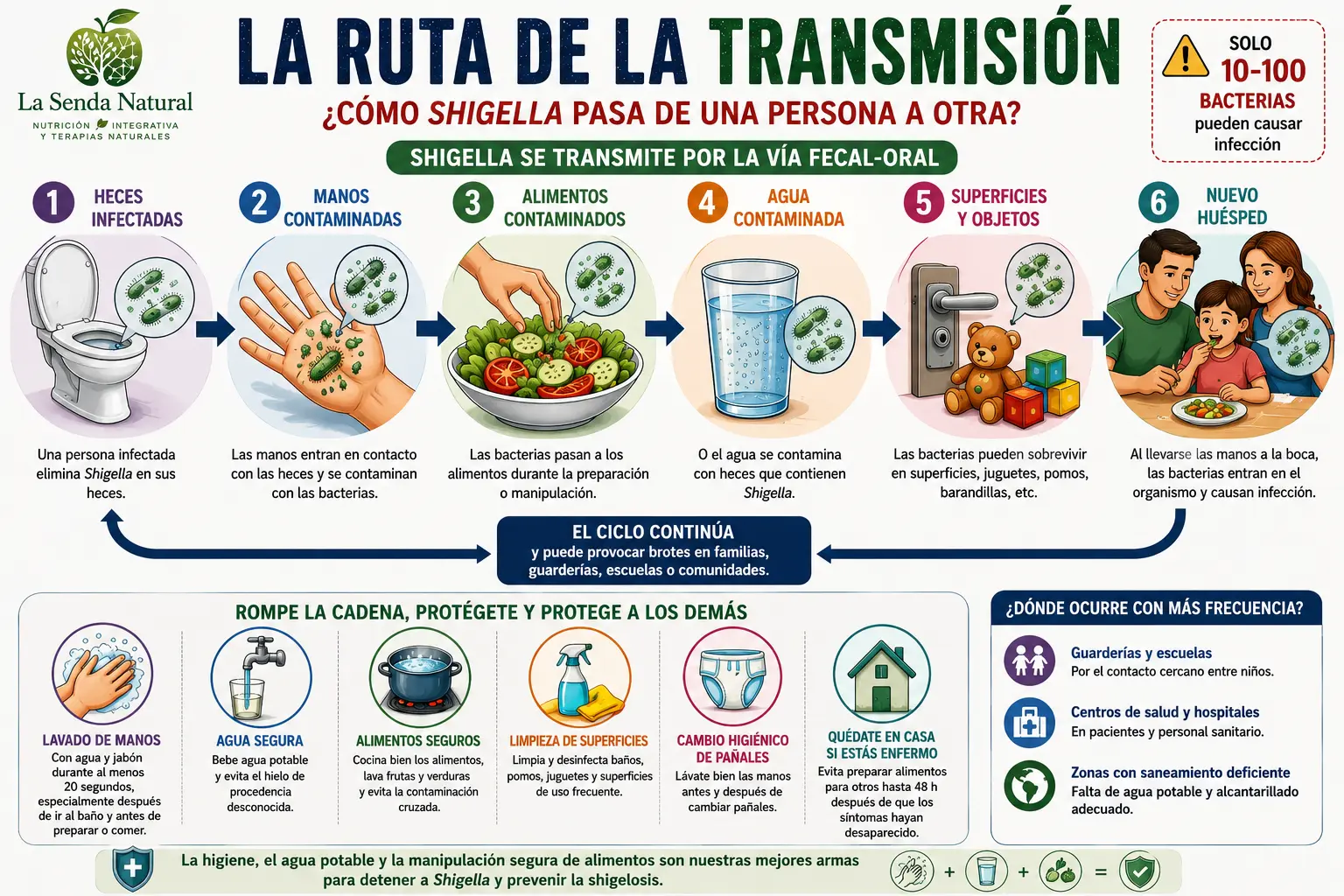 la ruta de la transmisión