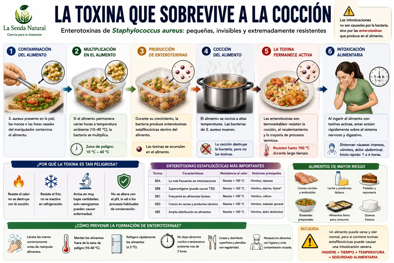 estafilococo. la toxina que sobrevive a la cocción
