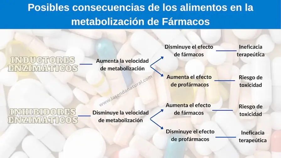 metabolismo de fármacos