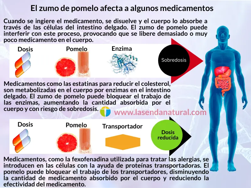 pomelo afecta a los medicamentos