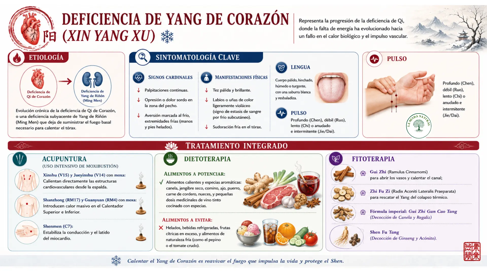 Deficiencia de Yang de Corazón