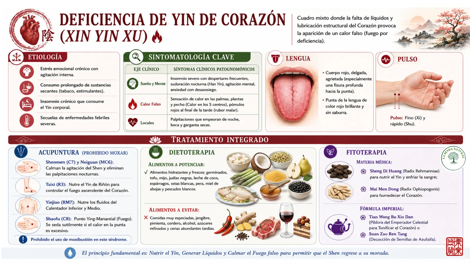 Deficiencia de Yin de Corazón