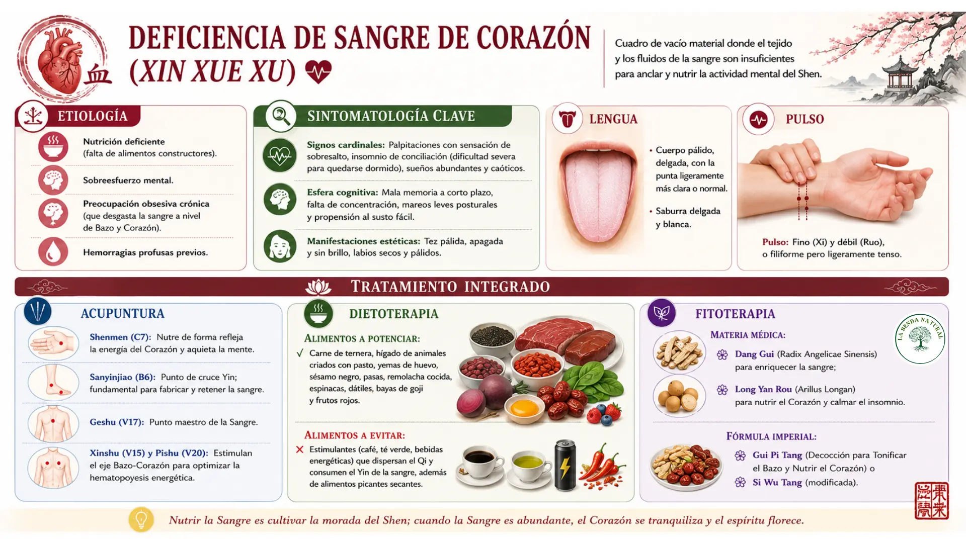 Deficiencia de sangre de Corazón