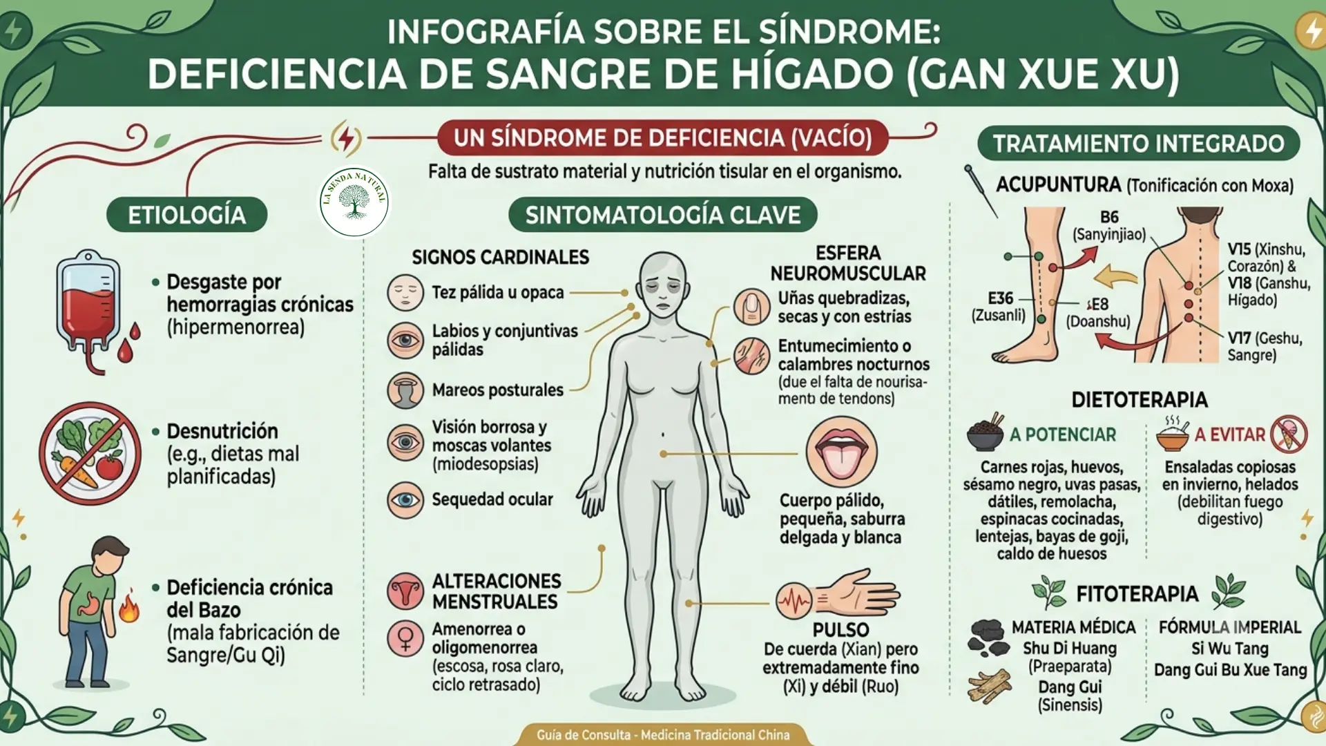 Deficiencia de sangre de Hígado