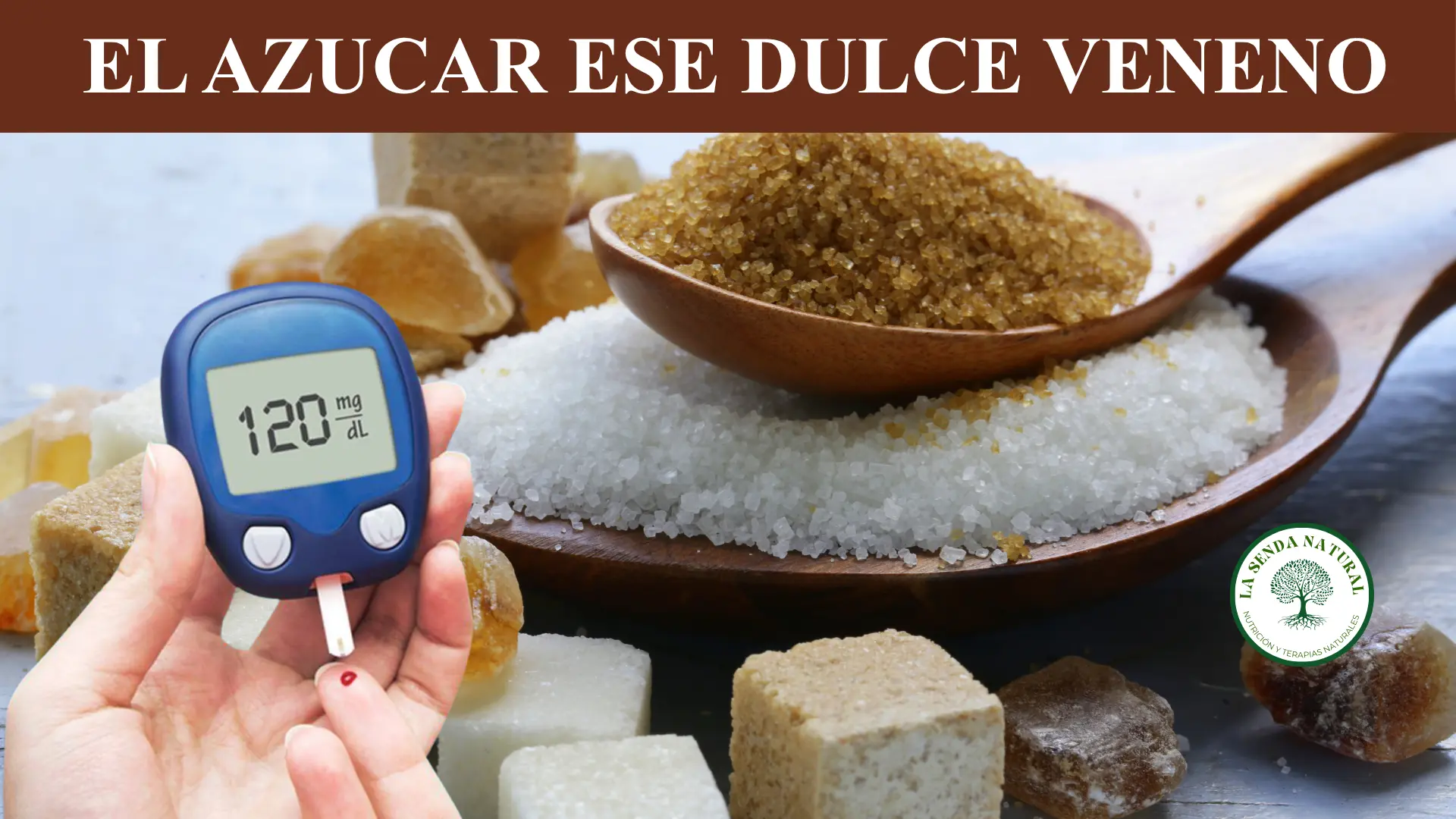 EL AZUCAR ESE DULCE VENENO
