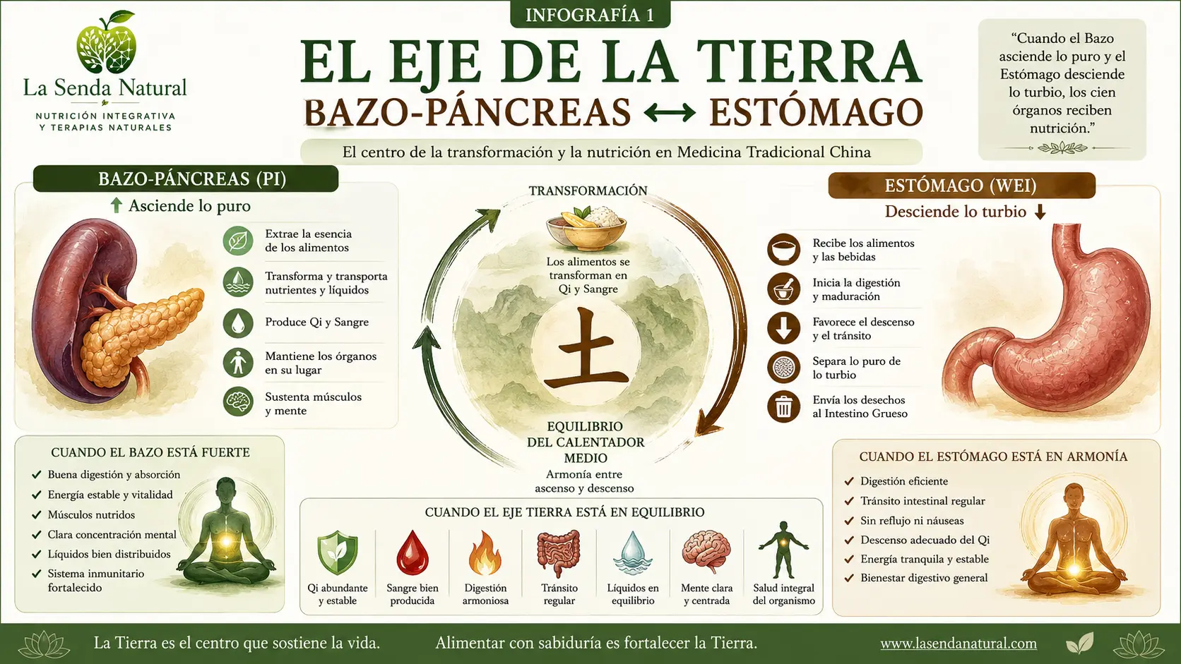 Síndromes de Bazo y Páncreas