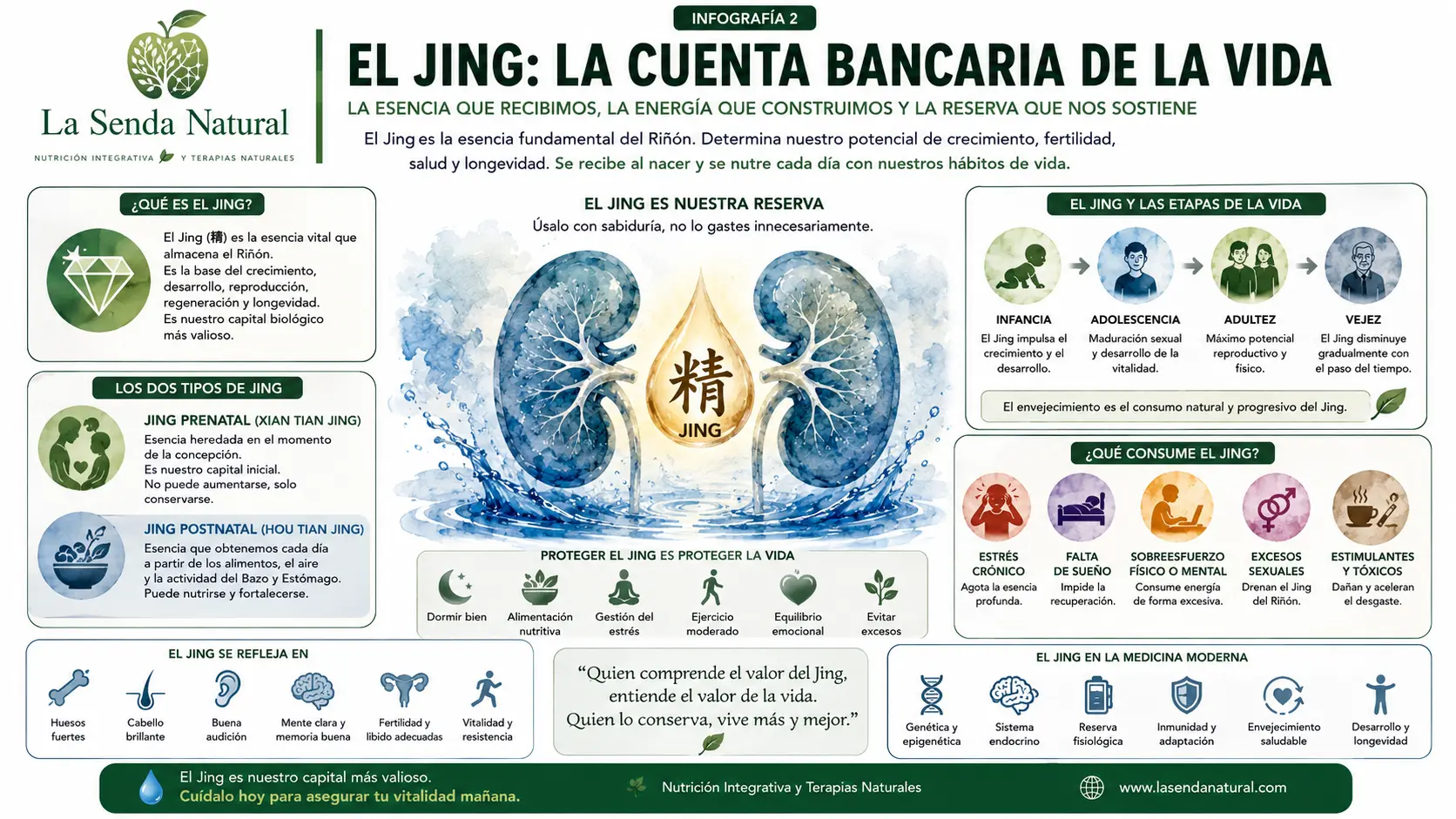 El JIng, la cuenta bancaria