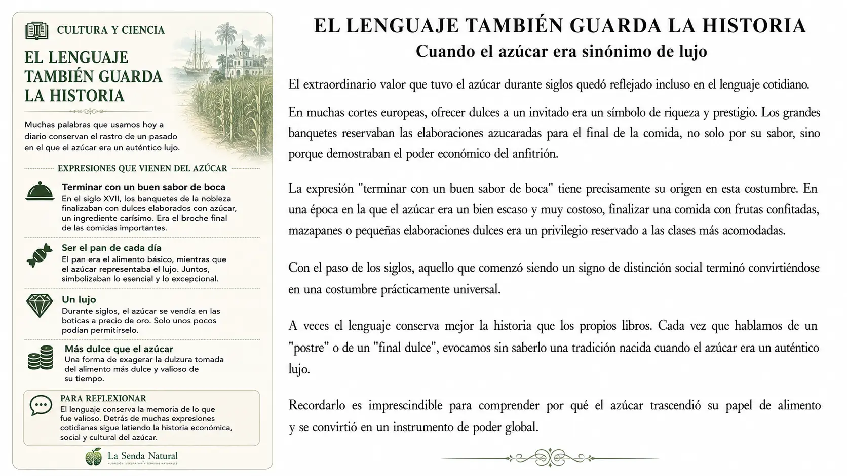 EL AZÚCAR 4 El Lenguaje también cambia la historia