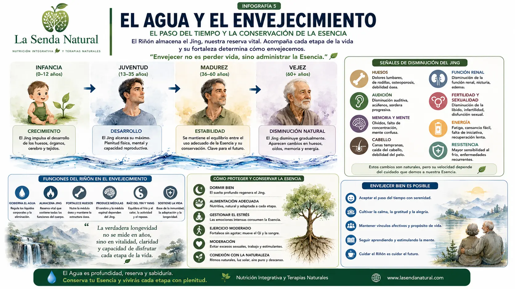 El agua y el envejecimiento