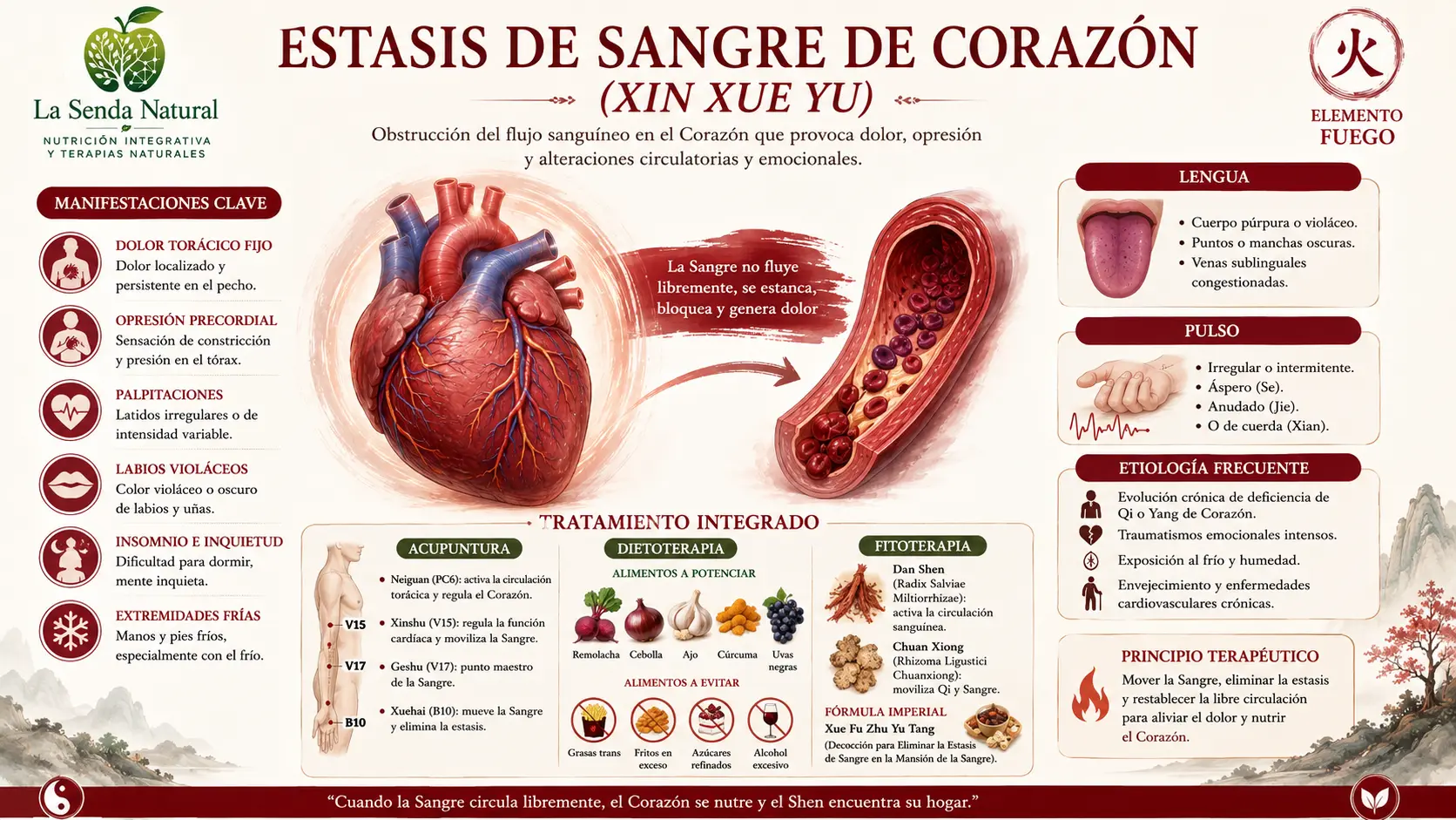 Estasis de sangre de corazón