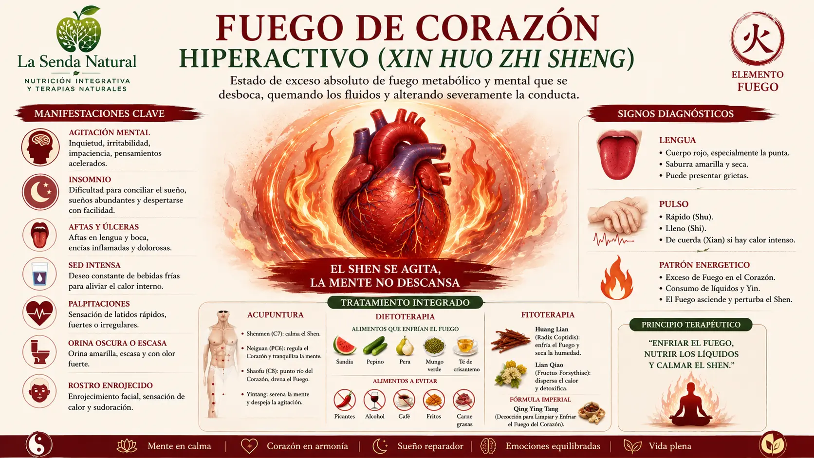 Fuego de Corazón