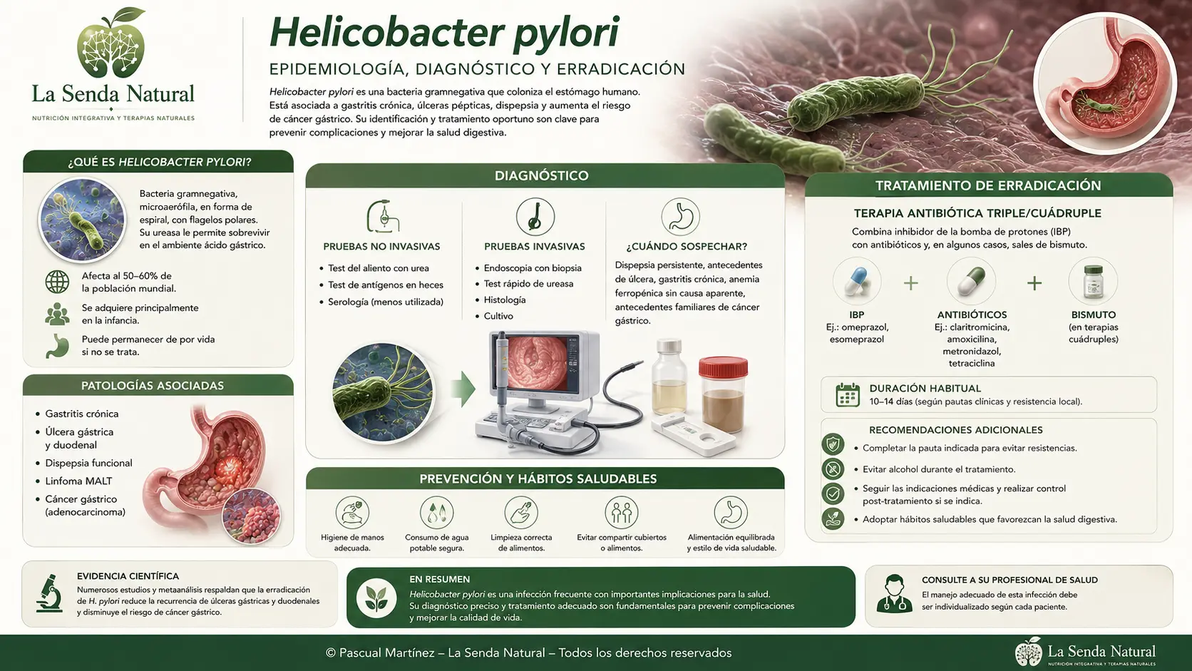 Helicobacter pylori epidemiología
