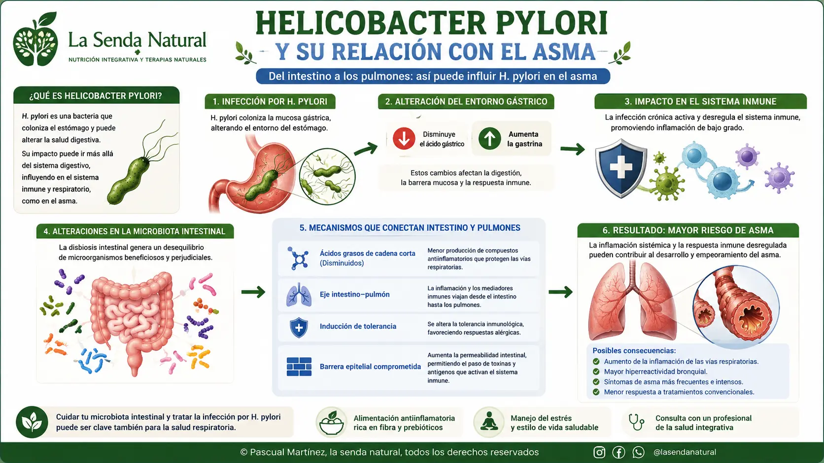 Helicobacter pylori su rol protector en el asma