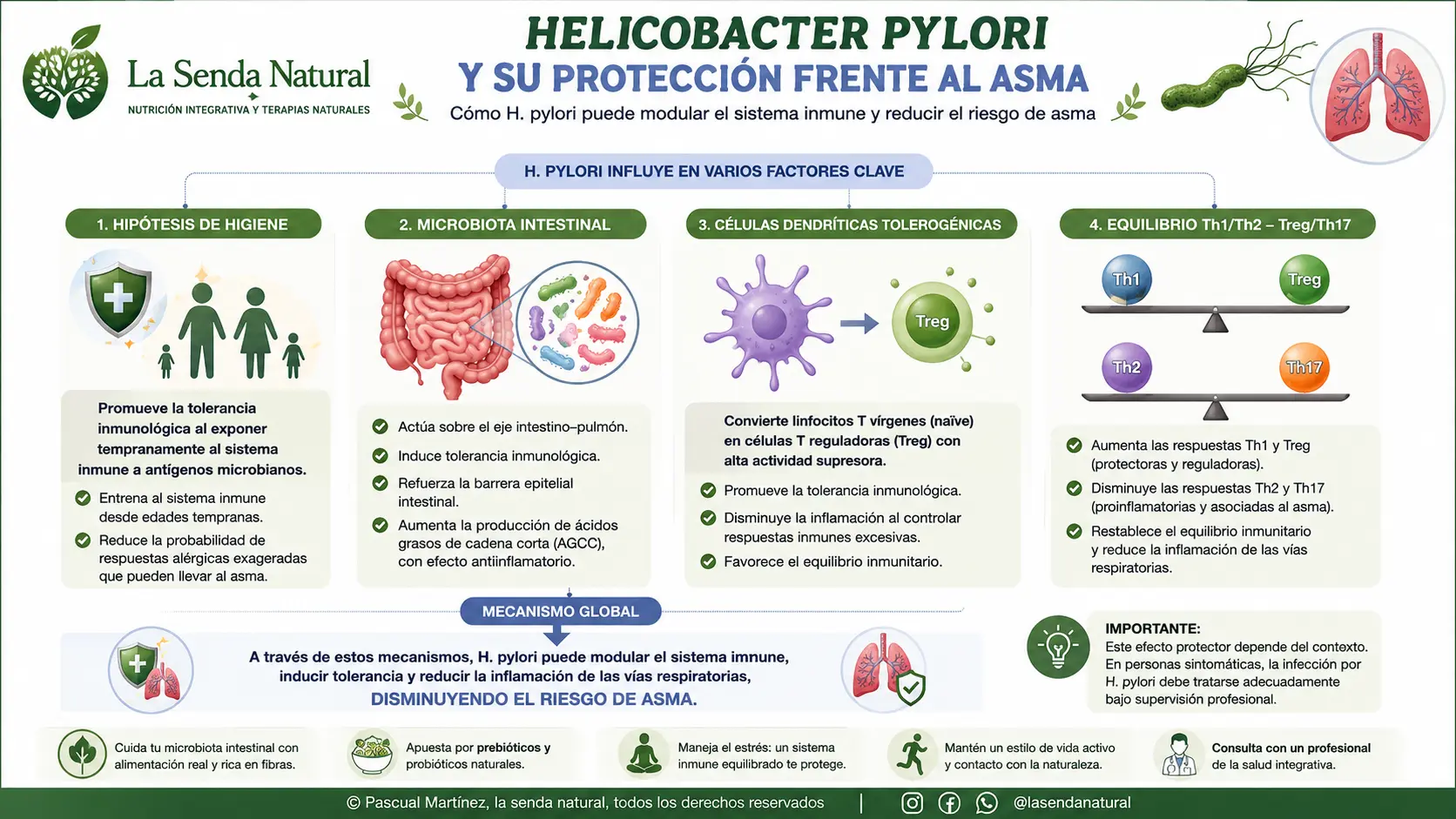 Helicobacter pylori y su acción sobre el asma