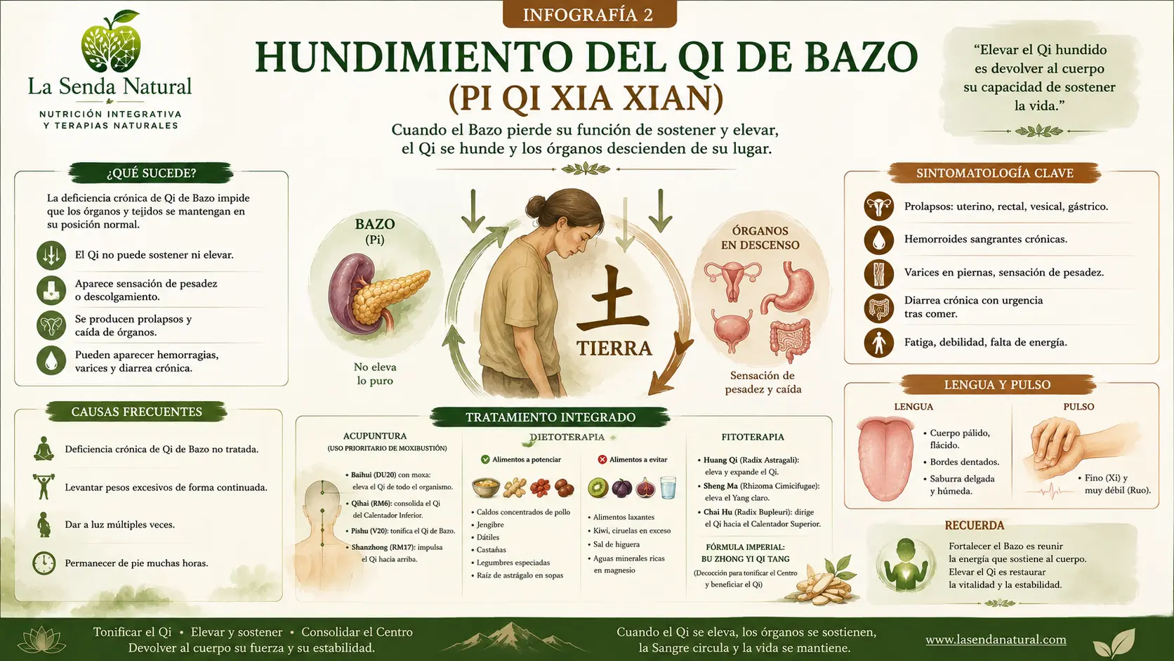 Hundimiento del Qi de bazo