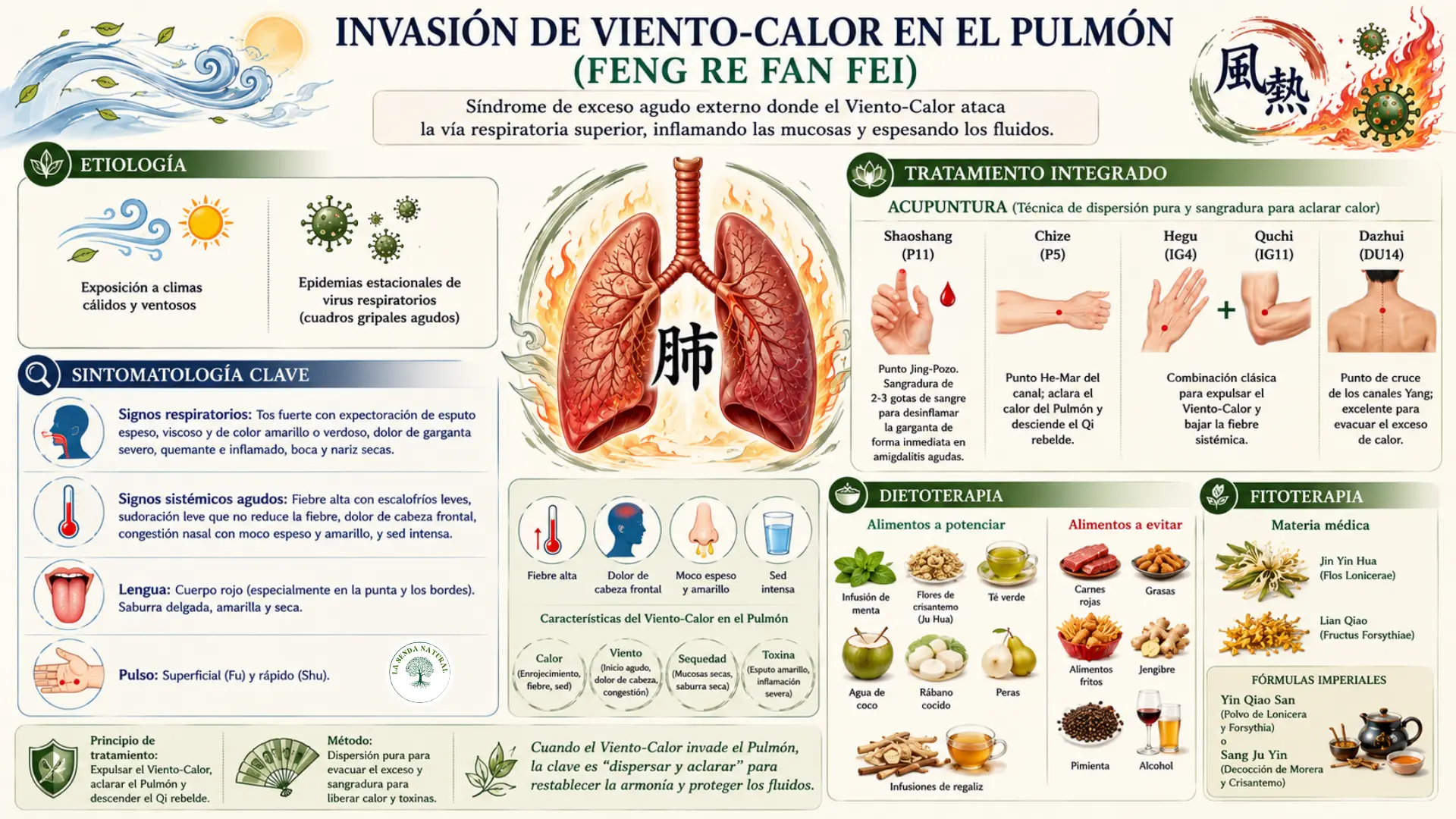 Invasión de viento-calor en el pulmón