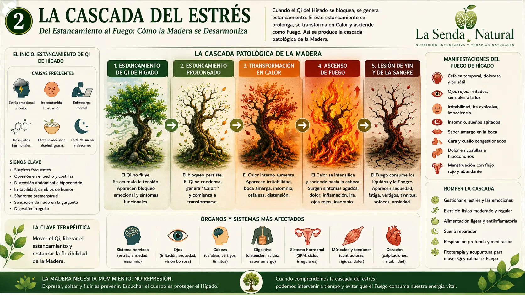 La cascada del estrés