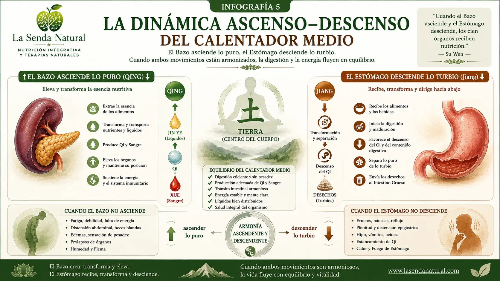 La dinámica ascenso-descenso