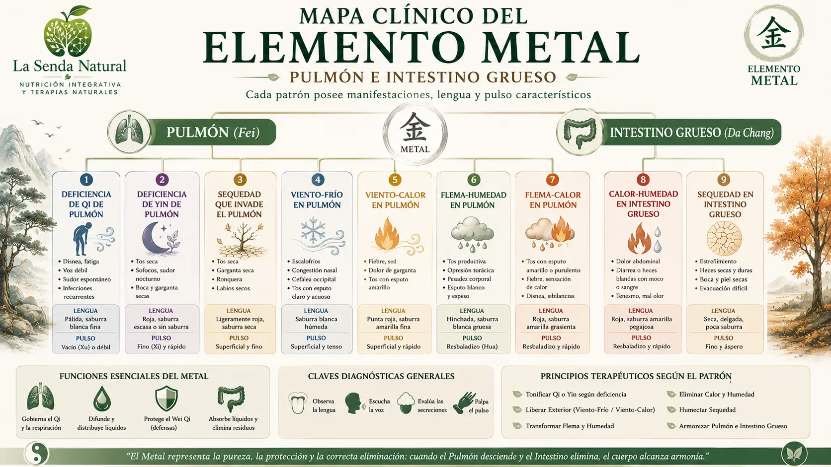 Mapa clínico del elemento metal