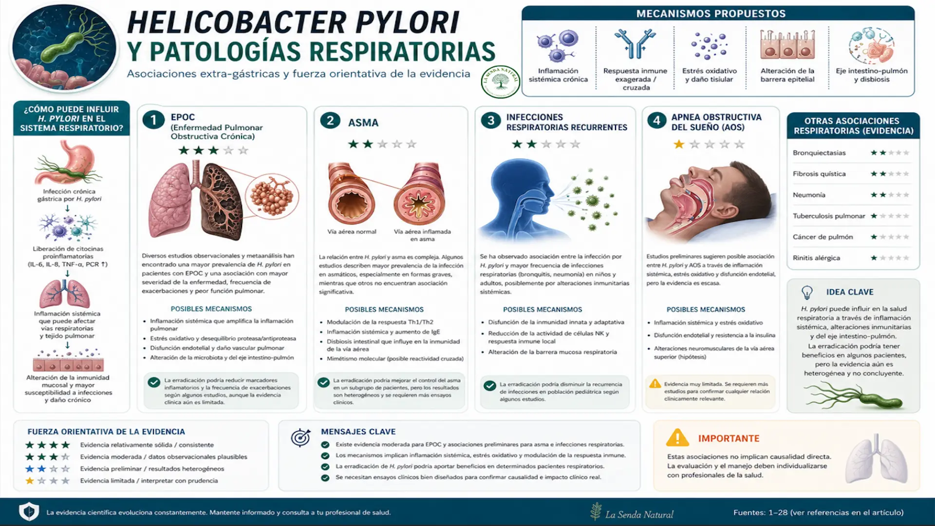 Patologías respiratorias y el Helicobacter pylori