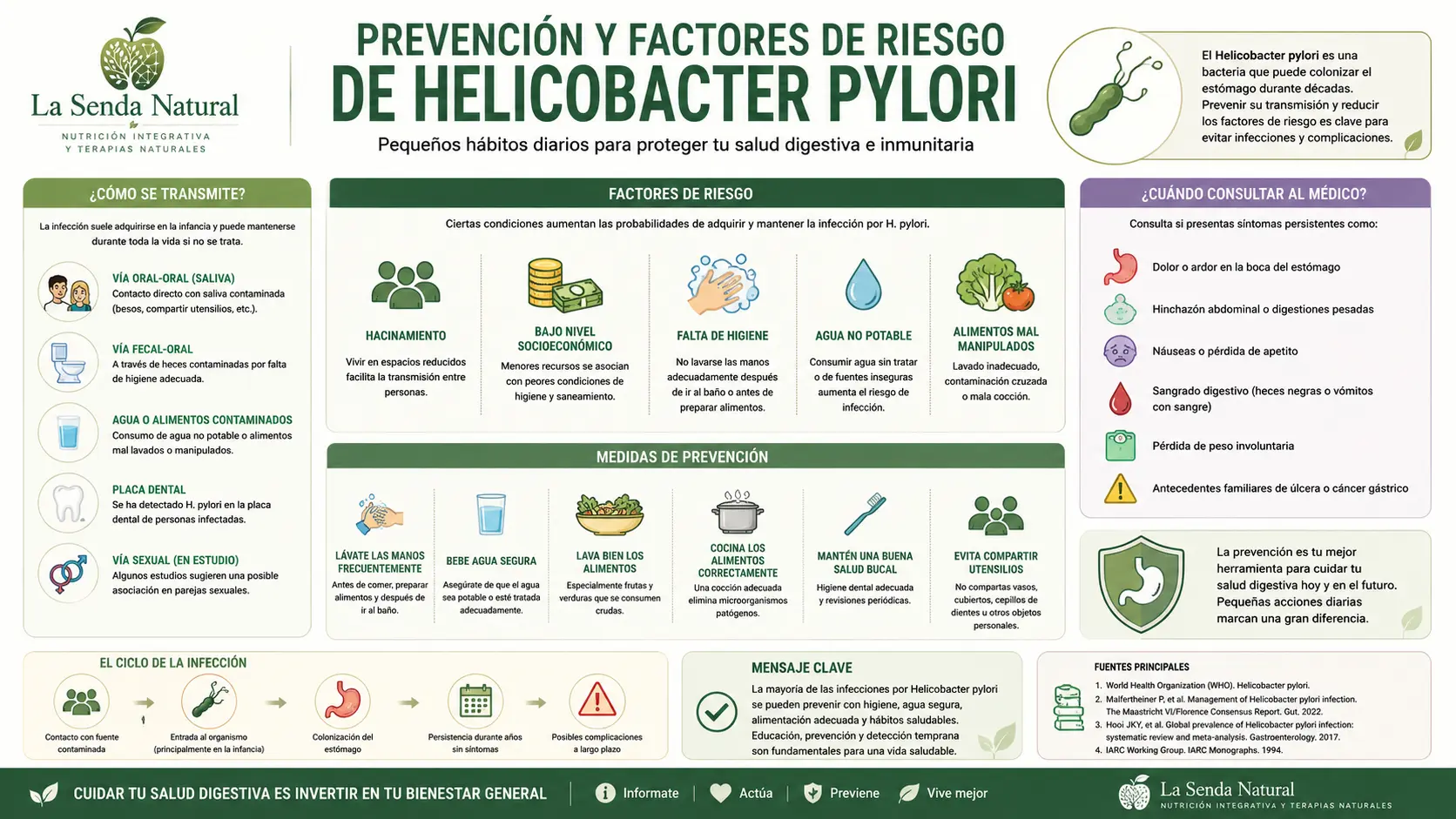 Prevención y factores de riesgo del helicobacter pylori