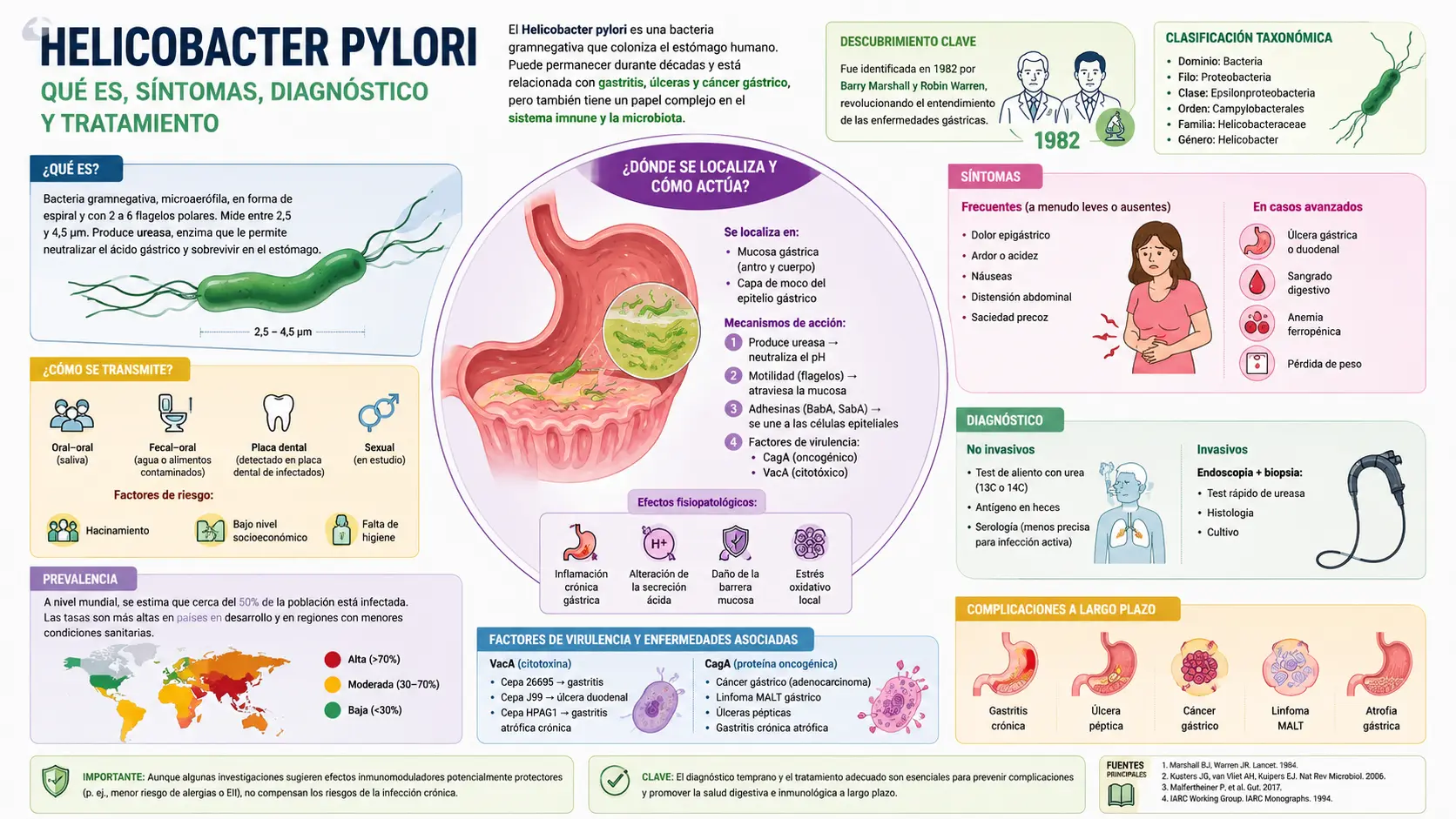 Qué es el helicobacter pylori