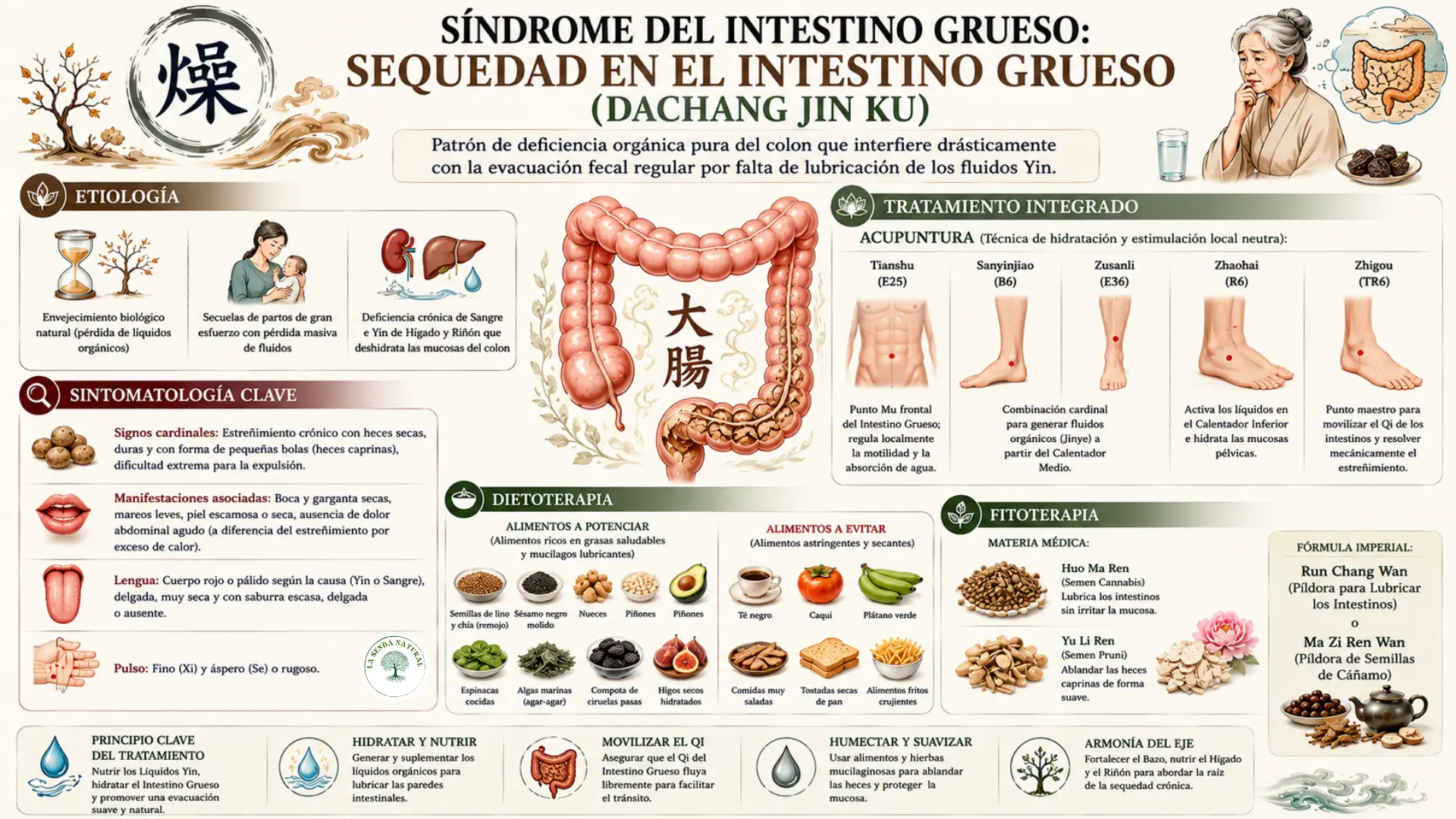 Sequedad en el intestino grueso