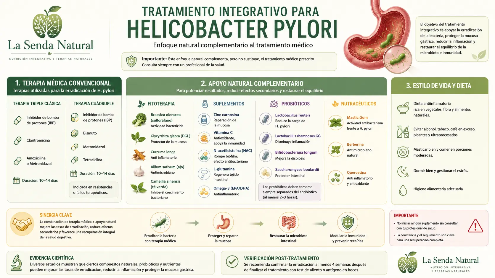 Tratamiento integrativo del Helicobacter pylori