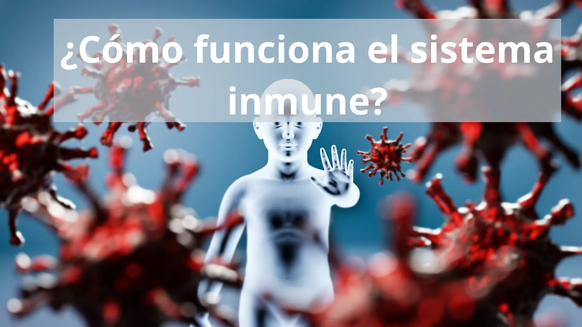 Cómo funciona la inmunidad innata 1 ¿Cómo funciona el sistema inmune?
