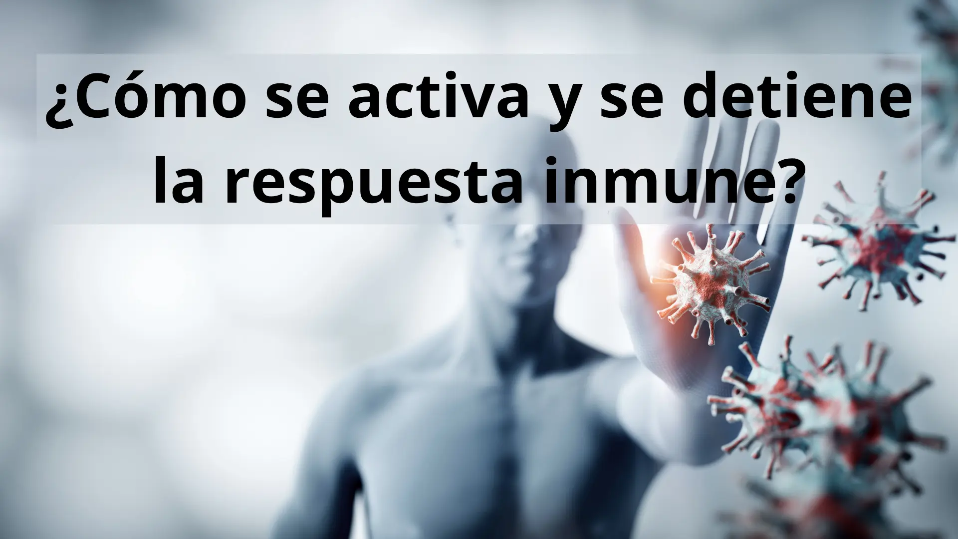 Cómo se activa y cómo se detiene una respuesta inmunitaria 1 Cómo se activa y se detiene la respuesta inmune